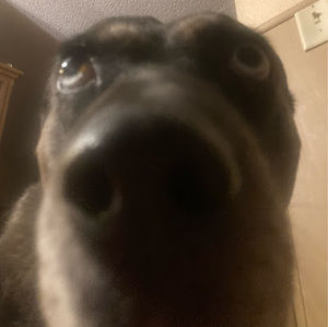 Meet your Posher, Declan